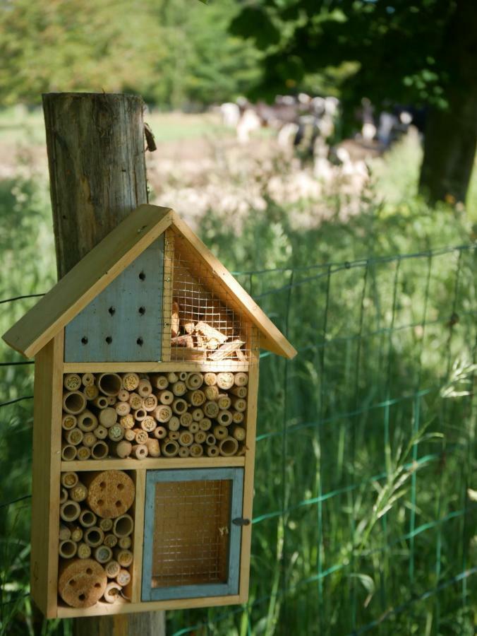 Saint-Jean-de-la-Motte Studio En Vallee Du Loir 20Km Du Zoo المظهر الخارجي الصورة