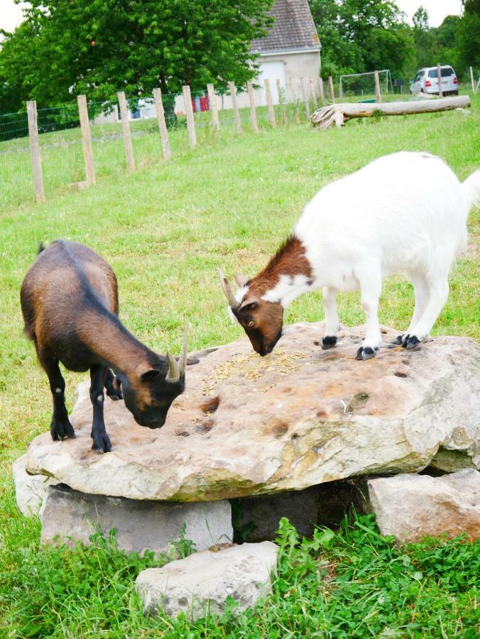 Saint-Jean-de-la-Motte Studio En Vallee Du Loir 20Km Du Zoo المظهر الخارجي الصورة